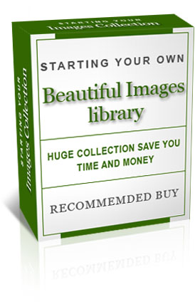 Clip Arts Collections